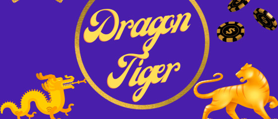 Dragon or Tiger – kaip žaisti Playtech's Dragon Tiger